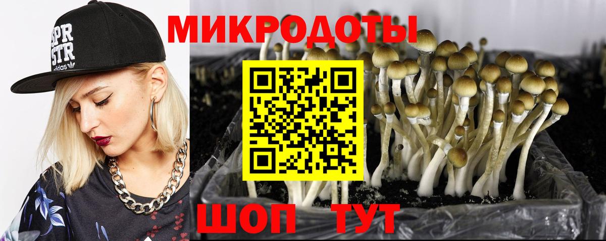 Псилоцибиновые грибы Psilocybe  Псилоцибиновые грибы мицелий  наркотики  Вход с VPN  Иркутск 